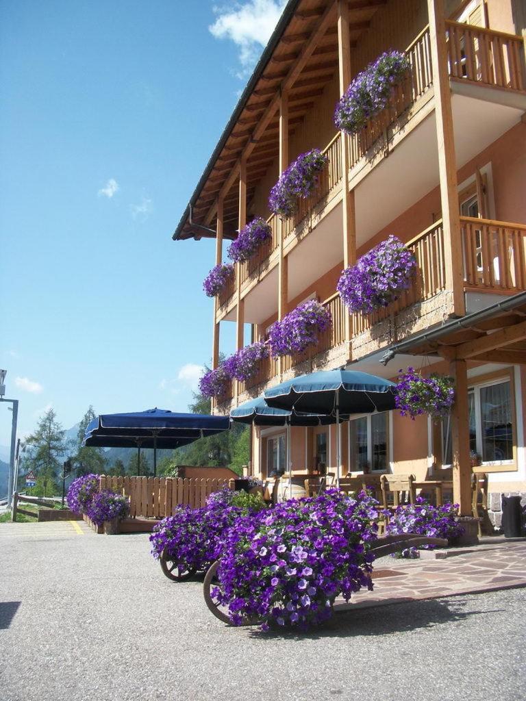 Hotel Vallechiara Moena Exteriér fotografie